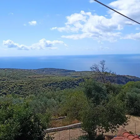τhe Grandma's House