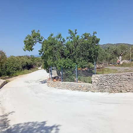 τhe Grandma's House Tseria