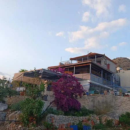 τhe Grandma's House