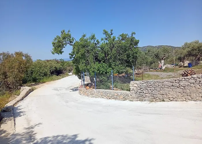 τhe Grandma's House Tseria